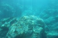 Unterwasserwelt vor St. Barth's