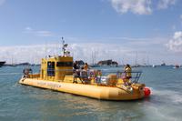 Yellow Submarine in Gustavia St. Barth's