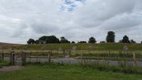 20170710_112453 Avebury