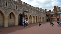 20170710_150849 Windsor Castle