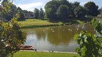 20170707_113511 Leeds Castle