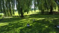 20170707_125653 Leeds Castle