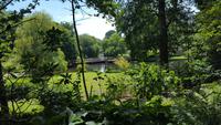 20170707_130655 Leeds Castle
