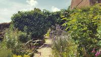 20170707_152420 Sissinghurst