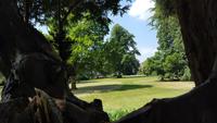 20170709_124234 West Dean Gardens