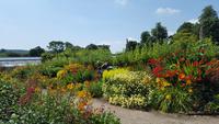 20170709_125509 West Dean Gardens