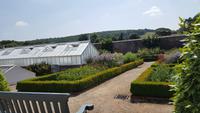 20170709_125805 West Dean Gardens