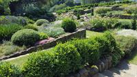 20170709_130106 West Dean Gardens