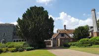 20170709_132739 West Dean Gardens