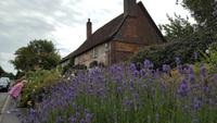 20170710_113053 Avebury