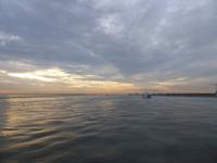 Ankunft in Hoek van Holland