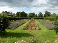 Penshurst Place