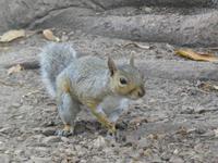 Südafrika - Kapstadt