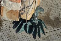 Südafrika - Simons Town