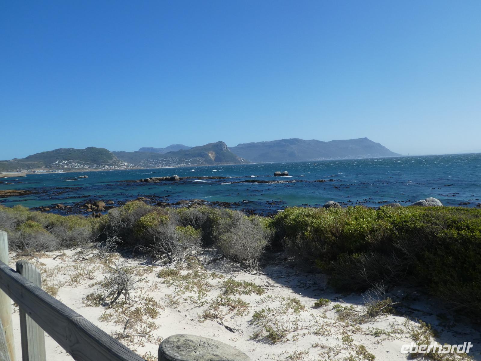 Südafrika - Boulder`s Beach