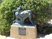 Südafrika - Kap der Guten Hoffnung