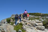 Südafrika - Kap der Guten Hoffnung