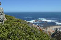 Südafrika - Kap der Guten Hoffnung