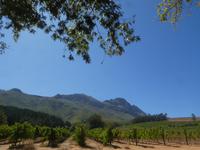 Südafrika - Winelands