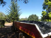 Südafrika - Weingut Delheim