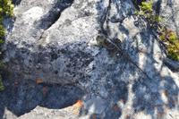 Südafrika - Kapstadt - Tafelberg