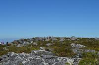 Südafrika - Kapstadt - Tafelberg