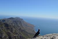 Südafrika - Kapstadt - Tafelberg