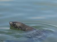 Namibia - Hafen Lüderitz