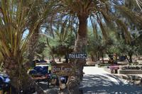 Namibia - Oase in der Namib Wüste