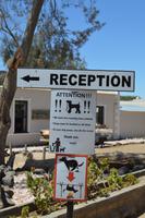 Namibia - Oase in der Namib Wüste