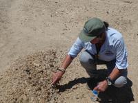 Namibia - Leben in der Namib Wüste