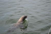 Namibia - Bootsfahrt in der Lagune Walvis Bay