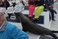 Namibia - Bootsfahrt in der Lagune Walvis Bay