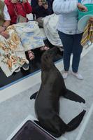 Namibia - Bootsfahrt in der Lagune Walvis Bay