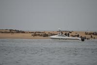Namibia - Bootsfahrt in der Lagune Walvis Bay