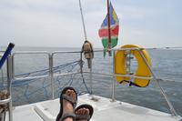 Namibia - Bootsfahrt in der Lagune Walvis Bay
