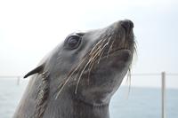 Namibia - Bootsfahrt in der Lagune Walvis Bay