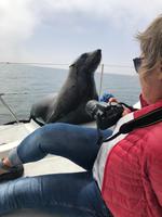 Namibia - Bootsfahrt in der Lagune Walvis Bay