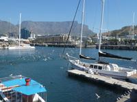 Südafrika - Kapstadt - Victoria & Alfred Waterfront