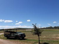 Südafrika - Pirschfahrt im  Amakhala Wildreservat