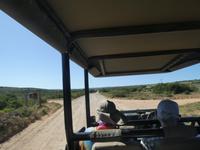 Südafrika - Pirschfahrt im  Amakhala Wildreservat