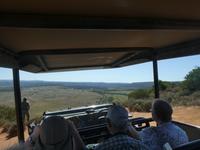 Südafrika - Pirschfahrt im  Amakhala Wildreservat