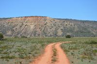 Südafrika - Pirschfahrt im  Amakhala Wildreservat