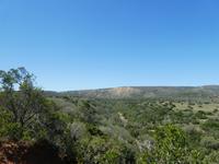 Südafrika - Pirschfahrt im  Amakhala Wildreservat