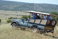 Südafrika - Pirschfahrt im  Amakhala Wildreservat