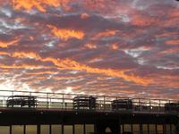 Südafrika - AIDAmira vor Kapstadt - Sonnenuntergang