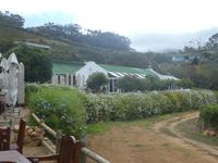 Südafrika - Boutique Weingut Constantia Glen