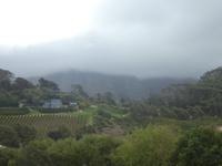 Südafrika - Weinregion Constantia