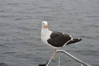 Namibia - Walvis Bay