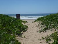 Südafrika - Durban